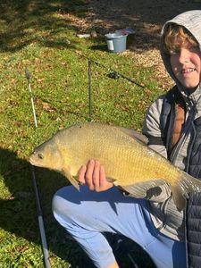 Mirror Carp