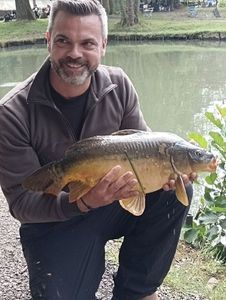 Common Carp