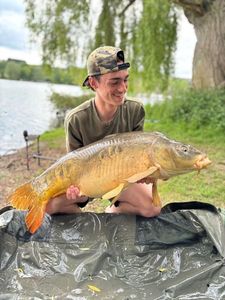 Mirror Carp