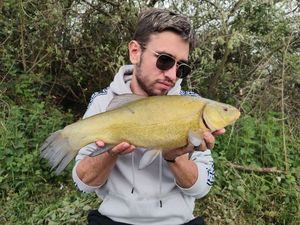 Tench