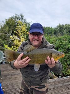 Tench