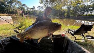Mirror Carp