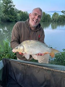 Common Carp