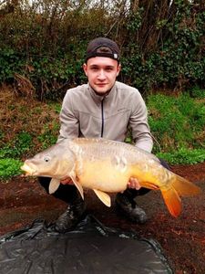 Mirror Carp
