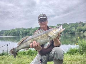 Zander