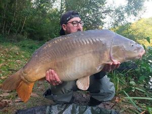 Mirror Carp