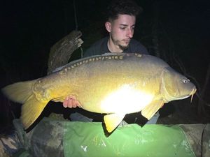 Mirror Carp