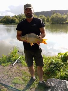 Mirror Carp