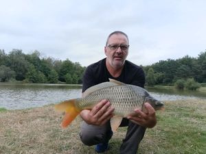 Common Carp