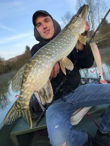 Northern Pike