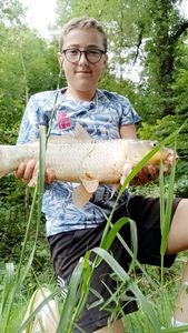 Mirror Carp
