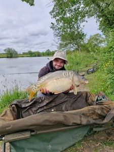 Mirror Carp