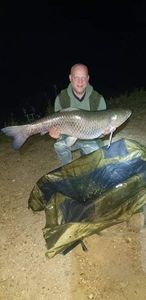 Grass Carp