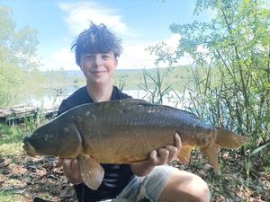Mirror Carp