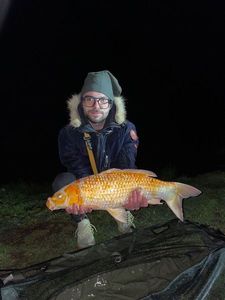 Koï Fish