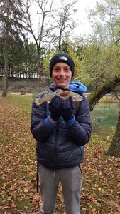 Rainbow Trout