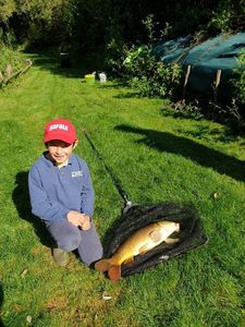 Common Carp