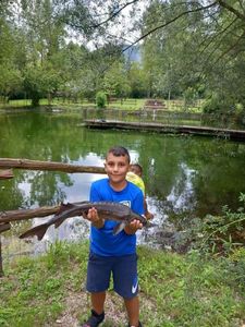 Sturgeon