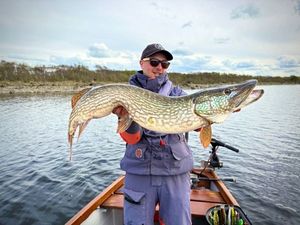 Northern Pike