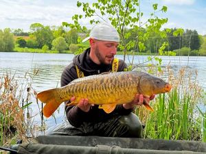 Mirror Carp