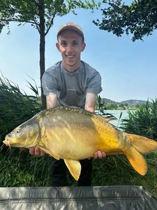 Mirror Carp
