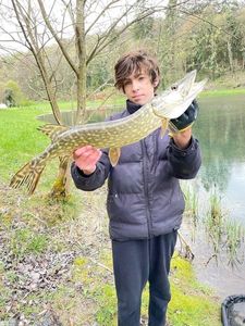 Northern Pike