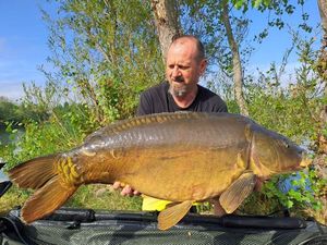 Mirror Carp