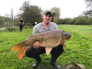 Common Carp