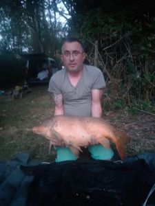 Mirror Carp