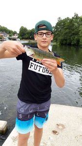 European Perch