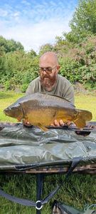Mirror Carp