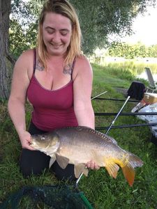 Mirror Carp
