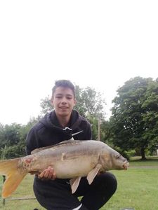 Mirror Carp