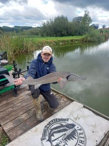 Sturgeon