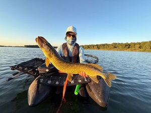 Northern Pike