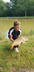 Mirror Carp