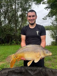 Mirror Carp