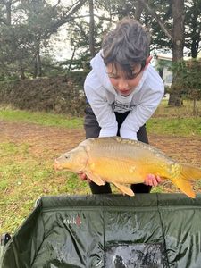 Mirror Carp