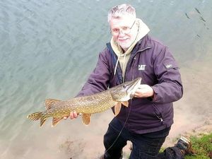Northern Pike