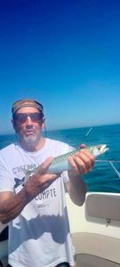 Mackerel