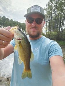 Largemouth Bass
