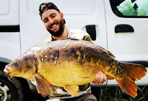Mirror Carp