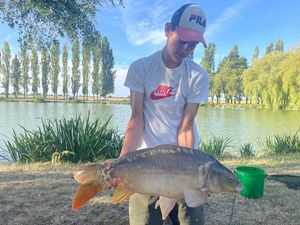 Mirror Carp