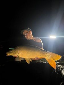 Mirror Carp