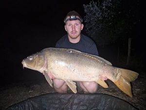 Mirror Carp
