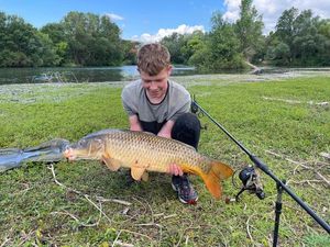 Common Carp