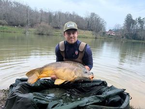 Mirror Carp