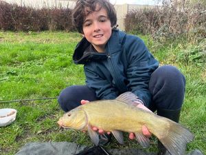 Tench