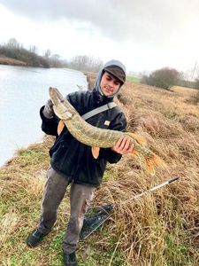 Northern Pike