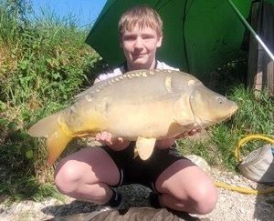 Mirror Carp